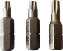 BIT VOOR TORX VIJZEN T25