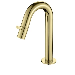 SANIBEAU METALS TOILETKRAAN GEBOGEN MODEL MAT GOUD